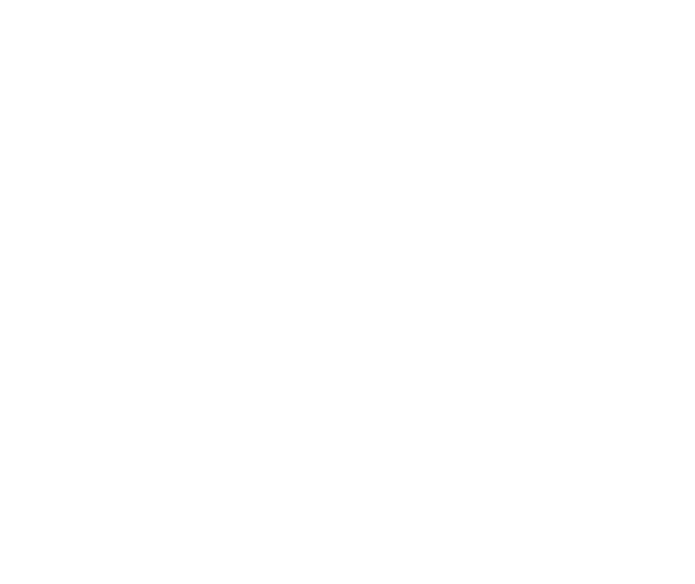 Ebix logo